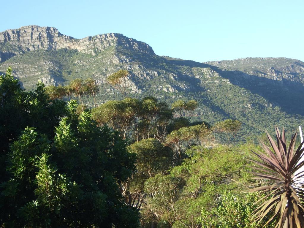 Villa Meadows Mountain View à Hout Bay Extérieur photo